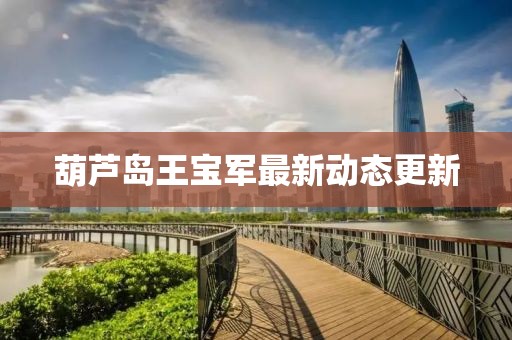 葫芦岛王宝军最新动态更新