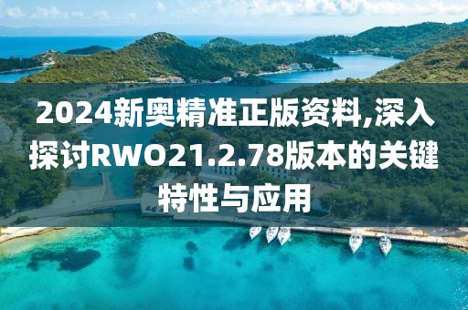 2024新奥精准正版资料,深入探讨RWO21.2.78版本的关键特性与应用