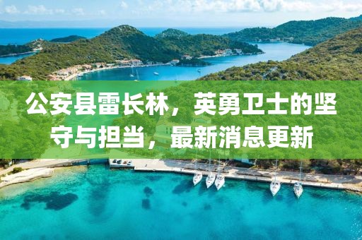 公安县雷长林，英勇卫士的坚守与担当，最新消息更新