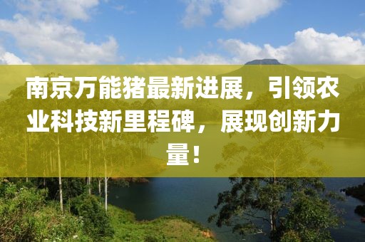 习惯孤单