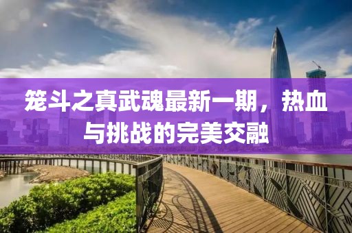 笼斗之真武魂最新一期，热血与挑战的完美交融