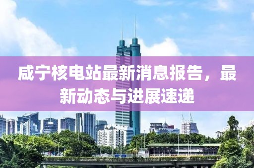 咸宁核电站最新消息报告，最新动态与进展速递