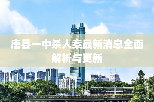 唐县一中杀人案最新消息全面解析与更新