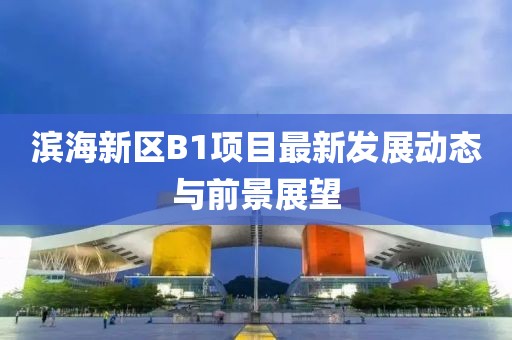 滨海新区B1项目最新发展动态与前景展望