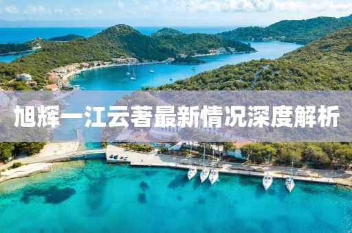 旭辉一江云著最新情况深度解析