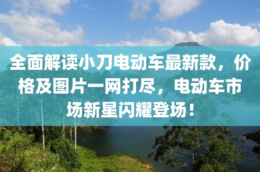 全面解读小刀电动车最新款，价格及图片一网打尽，电动车市场新星闪耀登场！