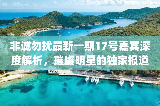 非诚勿扰最新一期17号嘉宾深度解析，璀璨明星的独家报道