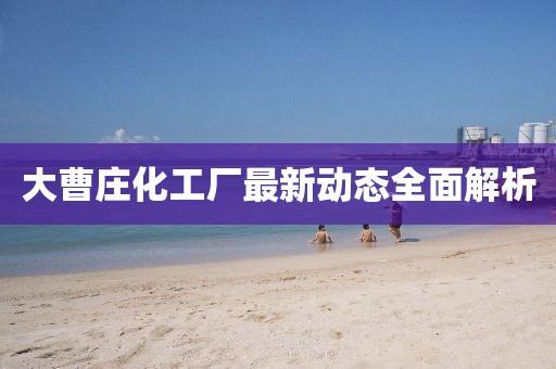 大曹庄化工厂最新动态全面解析
