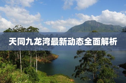 天同九龙湾最新动态全面解析