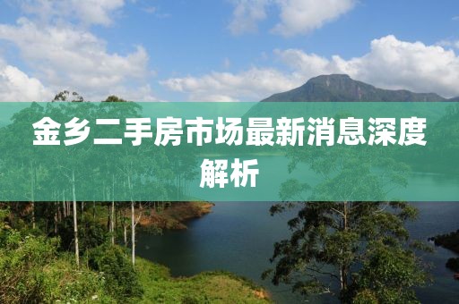 金乡二手房市场最新消息深度解析
