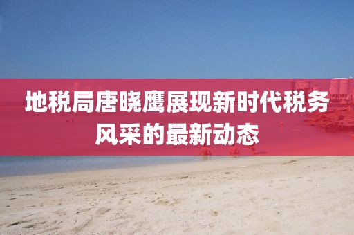 地税局唐晓鹰展现新时代税务风采的最新动态