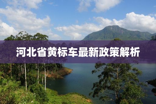 河北省黄标车最新政策解析
