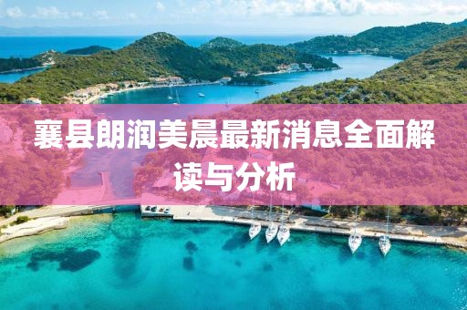 襄县朗润美晨最新消息全面解读与分析