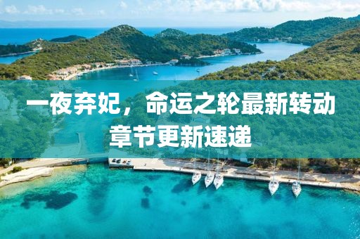 一夜弃妃，命运之轮最新转动章节更新速递