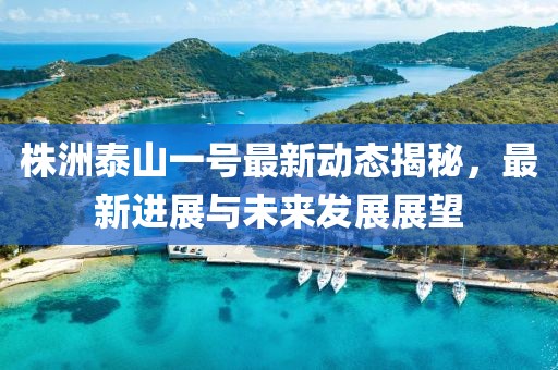 株洲泰山一号最新动态揭秘，最新进展与未来发展展望