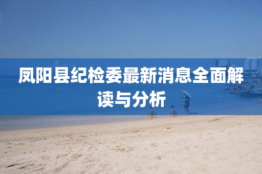 凤阳县纪检委最新消息全面解读与分析