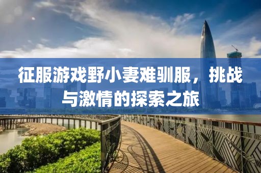 征服游戏野小妻难驯服，挑战与激情的探索之旅