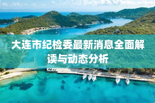 大连市纪检委最新消息全面解读与动态分析
