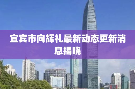 宜宾市向辉礼最新动态更新消息揭晓