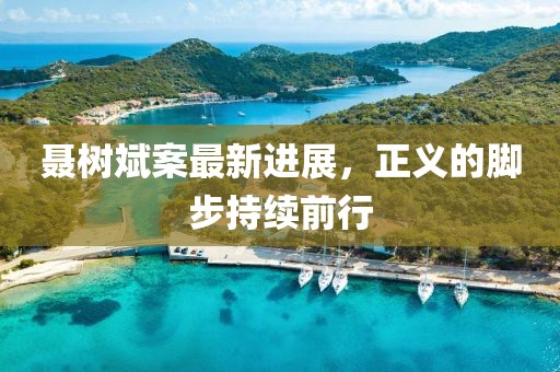 聂树斌案最新进展，正义的脚步持续前行