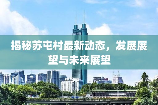 揭秘苏屯村最新动态，发展展望与未来展望