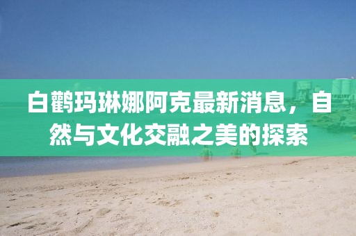 白鹳玛琳娜阿克最新消息，自然与文化交融之美的探索