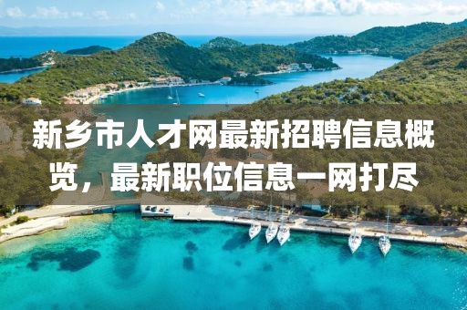 新乡市人才网最新招聘信息概览，最新职位信息一网打尽