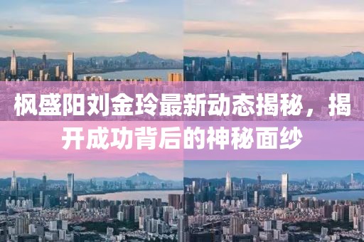 枫盛阳刘金玲最新动态揭秘，揭开成功背后的神秘面纱
