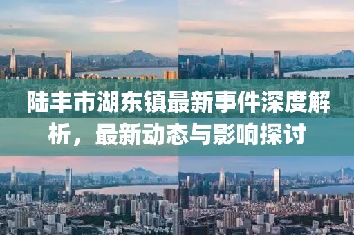 陆丰市湖东镇最新事件深度解析，最新动态与影响探讨