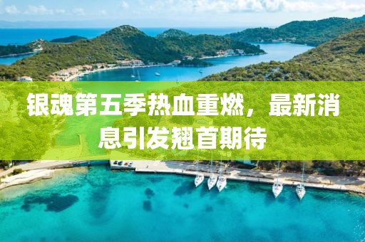 银魂第五季热血重燃，最新消息引发翘首期待