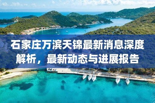 石家庄万滨天锦最新消息深度解析，最新动态与进展报告