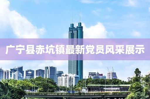 广宁县赤坑镇最新党员风采展示