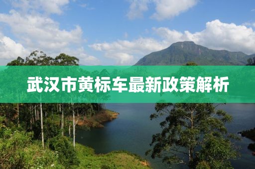 武汉市黄标车最新政策解析