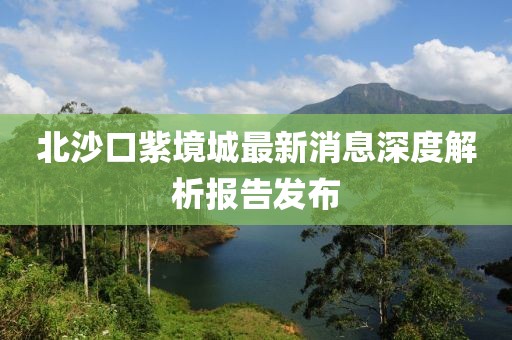 北沙口紫境城最新消息深度解析报告发布