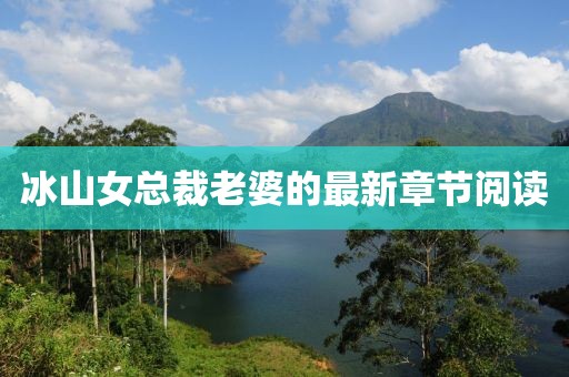 冰山女总裁老婆的最新章节阅读