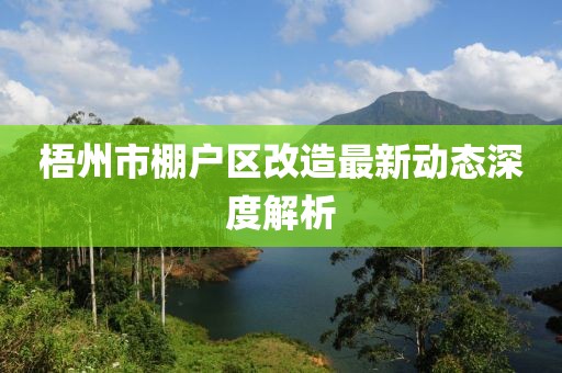 梧州市棚户区改造最新动态深度解析
