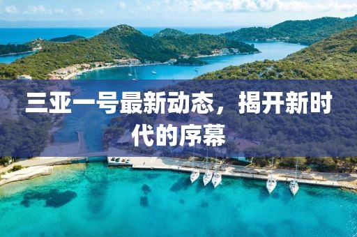 三亚一号最新动态，揭开新时代的序幕