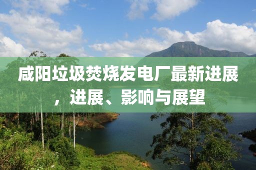 咸阳垃圾焚烧发电厂最新进展，进展、影响与展望