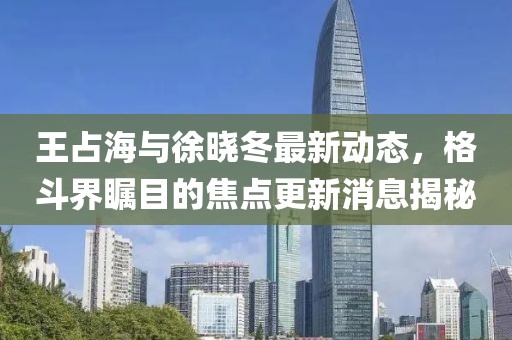王占海与徐晓冬最新动态，格斗界瞩目的焦点更新消息揭秘