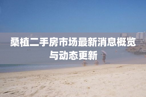 桑植二手房市场最新消息概览与动态更新