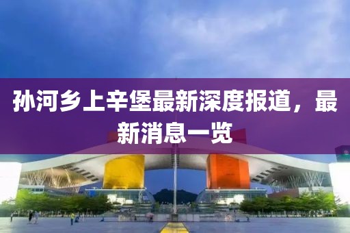 孙河乡上辛堡最新深度报道，最新消息一览