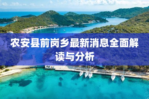 农安县前岗乡最新消息全面解读与分析