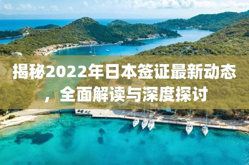 揭秘2022年日本签证最新动态，全面解读与深度探讨