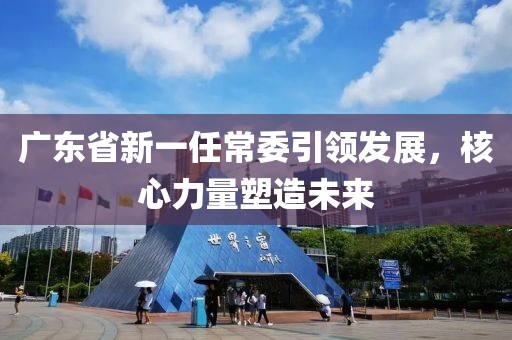 广东省新一任常委引领发展，核心力量塑造未来