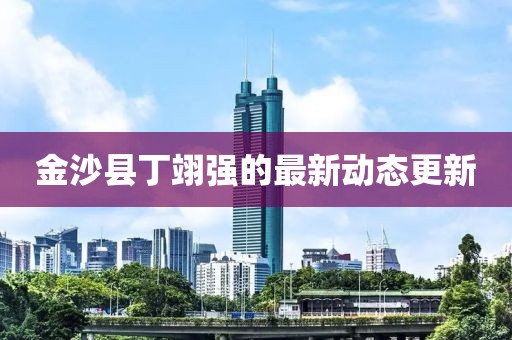 金沙县丁翊强的最新动态更新