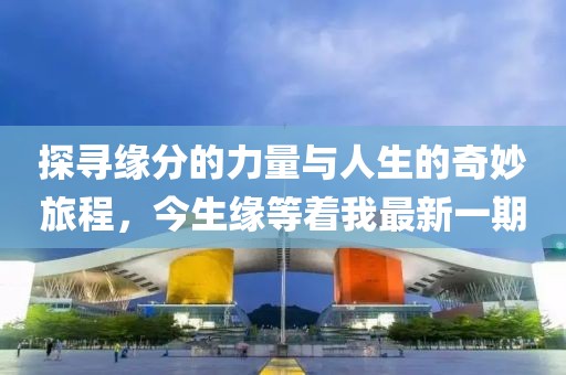 探寻缘分的力量与人生的奇妙旅程，今生缘等着我最新一期