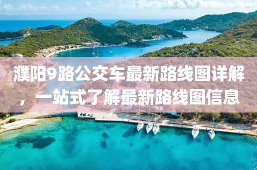 濮阳9路公交车最新路线图详解，一站式了解最新路线图信息