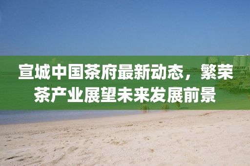 宣城中国茶府最新动态，繁荣茶产业展望未来发展前景