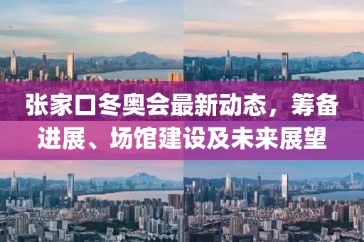 张家口冬奥会最新动态，筹备进展、场馆建设及未来展望