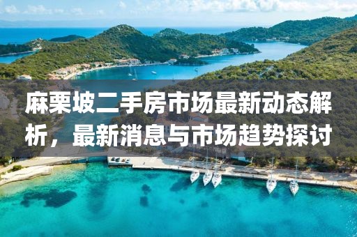 麻栗坡二手房市场最新动态解析，最新消息与市场趋势探讨